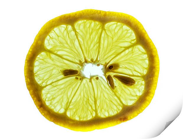 Lemon cross section Print by Chris Watson