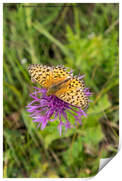 High Brown Fritillary Print by Jo Sowden