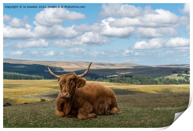 Highland Cow resting Print by Jo Sowden