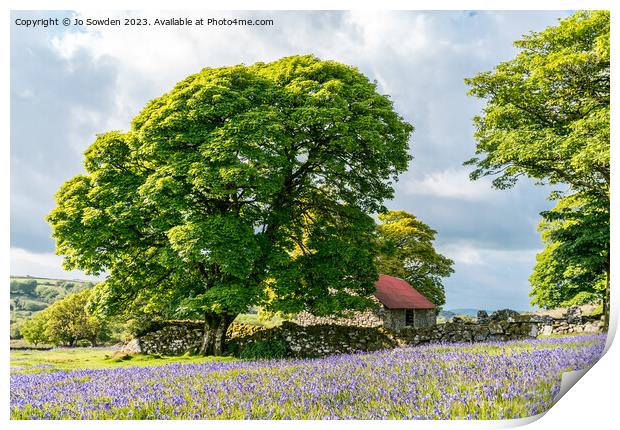 Bluebells at Emsworthy Mire. Dartmoor Print by Jo Sowden