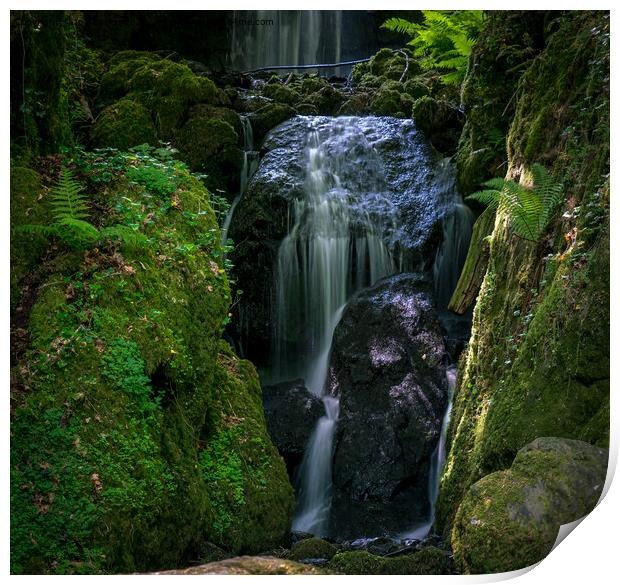 Enchanting Forest Waterfall Print by Jo Sowden