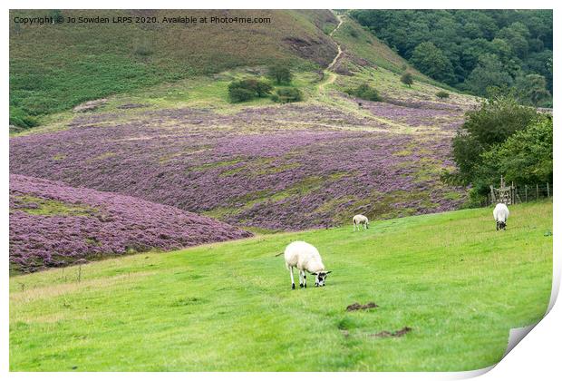 Heather in the Yorkshire dales Print by Jo Sowden