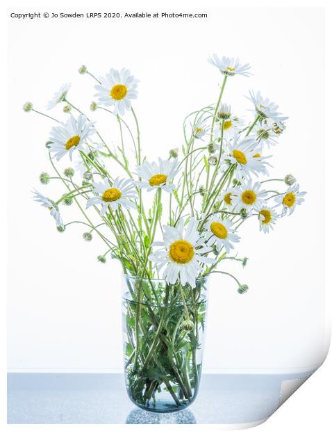 Vase of Daisies Print by Jo Sowden