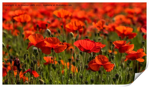 Field or Poppies Print by Jo Sowden