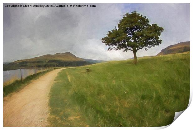  Solitary Tree Print by Stuart Muckley