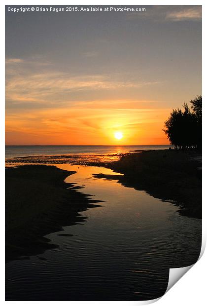  Mauritian  Sunset Print by Brian Fagan