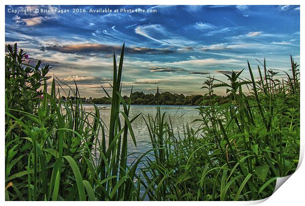 View from the reeds Print by Brian Fagan