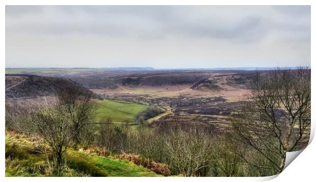 Hole of Horcum Print by Dave Leason