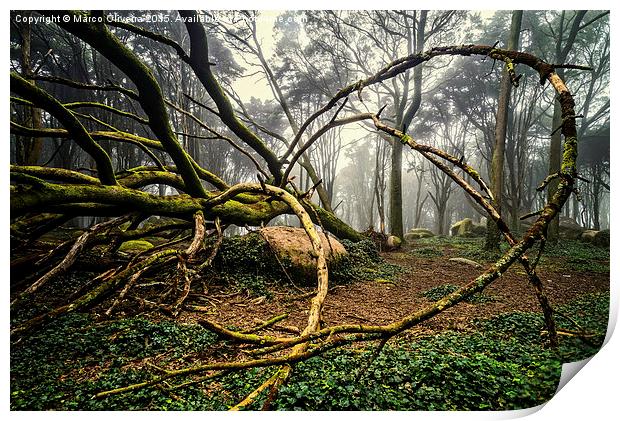 The Fallen Tree II Print by Marco Oliveira
