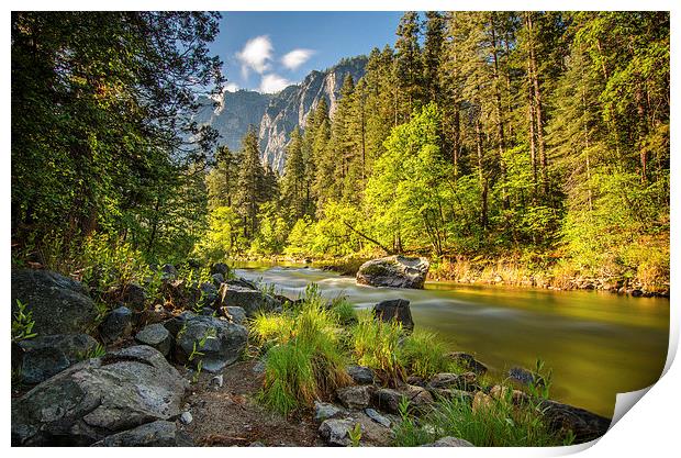  Early morning calm beside the River Merced Print by Thomas Hipkiss