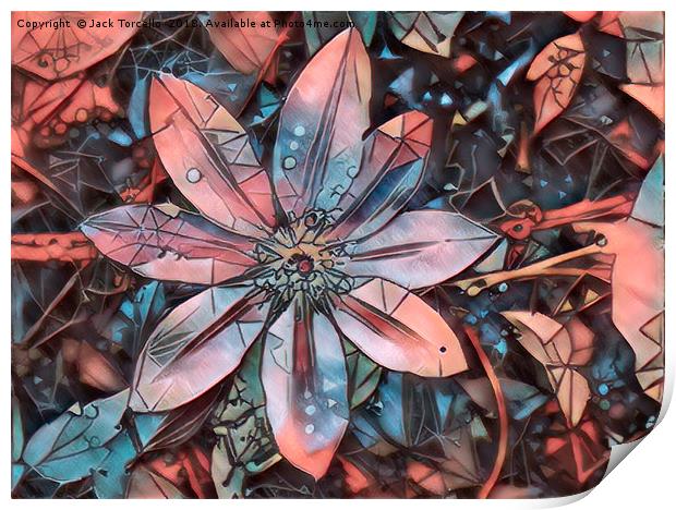 Bejewelled Clematis V Print by Jack Torcello