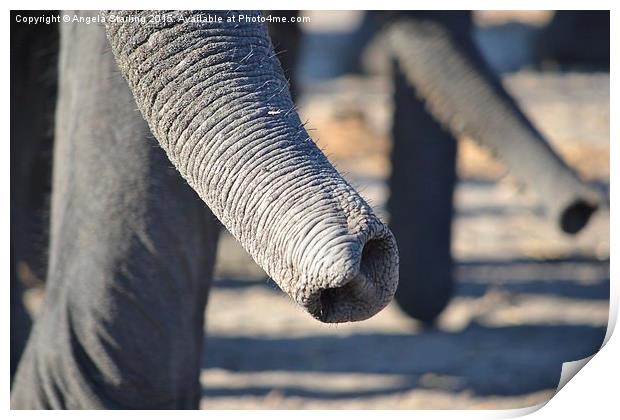  Elephant Trunks Print by Angela Starling