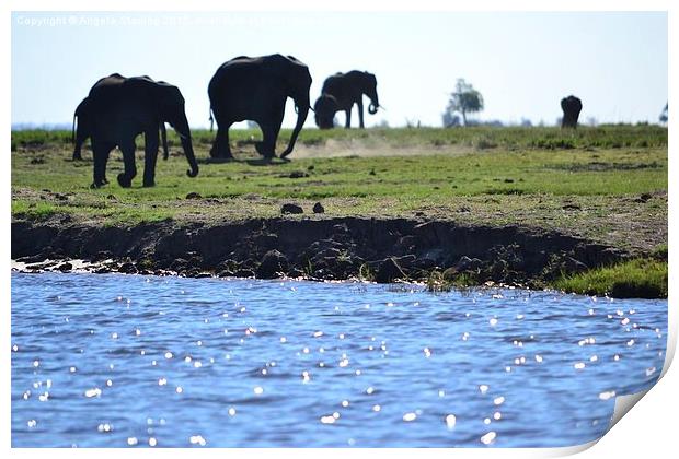  Heat haze Elephants Print by Angela Starling