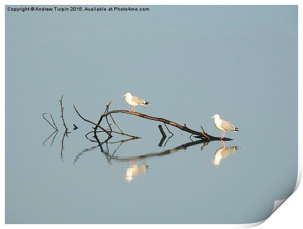  You, me, and a lot of water. Print by Andrew Turpin