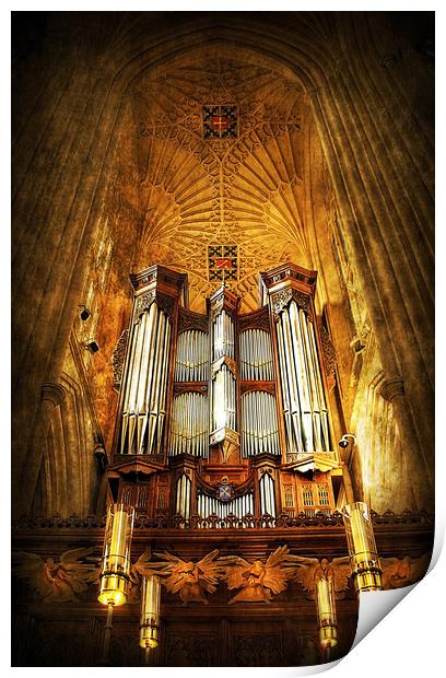 Organ Print by Svetlana Sewell