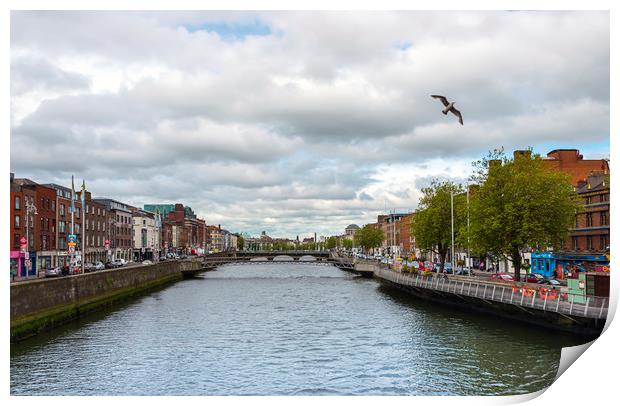 River Dodder Print by Svetlana Sewell