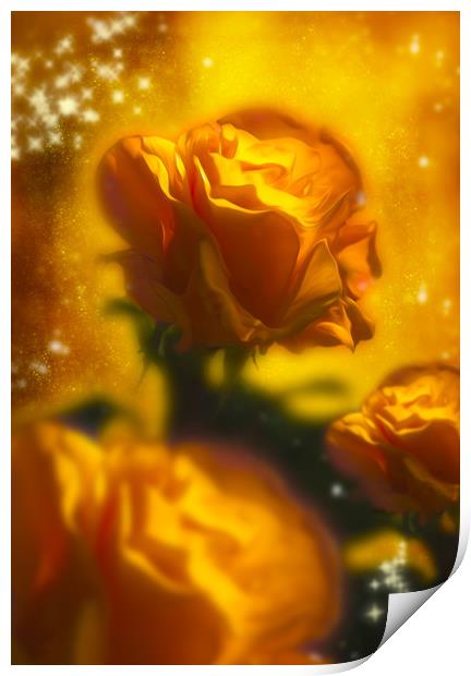  Golden Roses Print by Svetlana Sewell