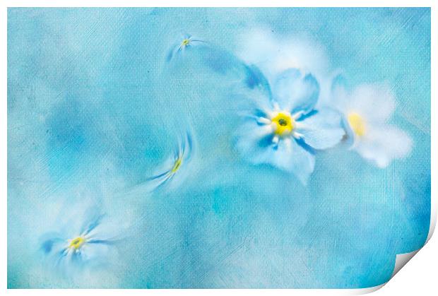  Splash of blue Print by Svetlana Sewell