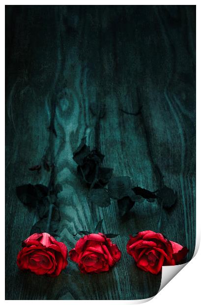  Three Roses Print by Svetlana Sewell