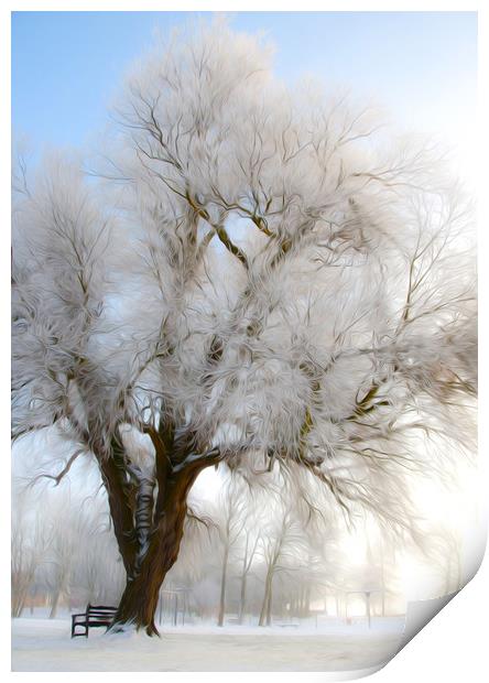  Winter Tree Print by Svetlana Sewell
