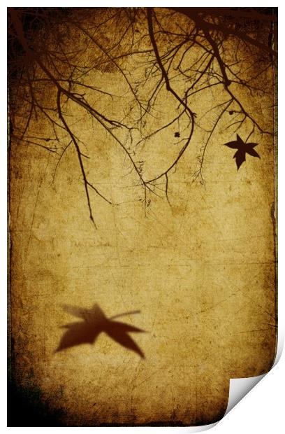  Sad Autumn Print by Svetlana Sewell