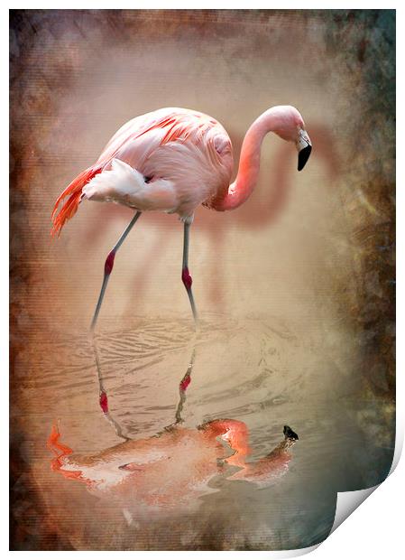 flamingo Print by Svetlana Sewell
