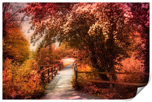  Autumn Path Print by Svetlana Sewell