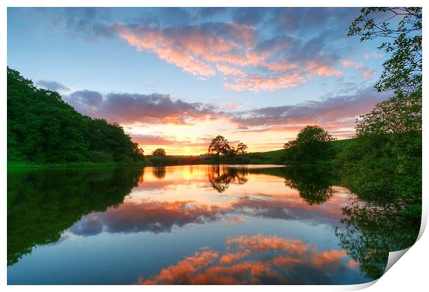  Still Water Print by Svetlana Sewell