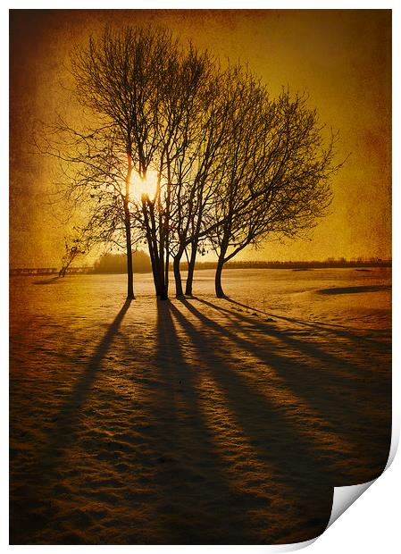  Winter Morning Print by Svetlana Sewell