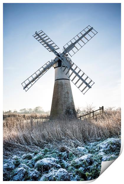 Windmill  Print by Svetlana Sewell