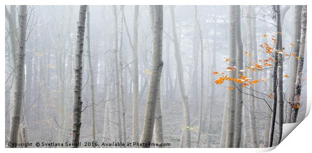 Last Autumn Branch Print by Svetlana Sewell