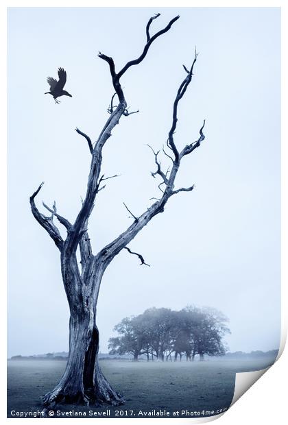 The Crow Print by Svetlana Sewell