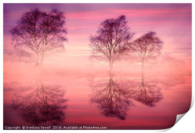 Pink Fog Print by Svetlana Sewell