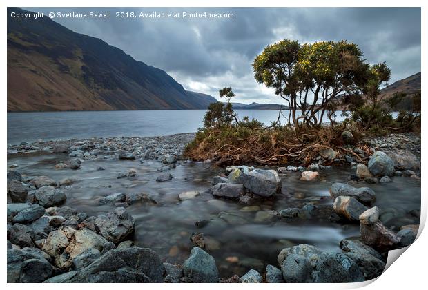 Lake View Print by Svetlana Sewell