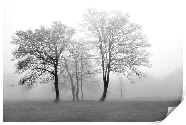 Foggy Trees Print by Svetlana Sewell
