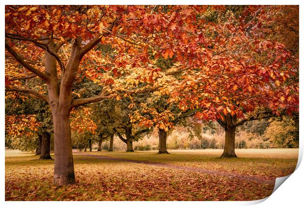Autumn in Suffolk Print by Svetlana Sewell