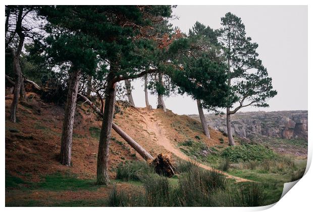 Ilkley moor Print by Svetlana Sewell