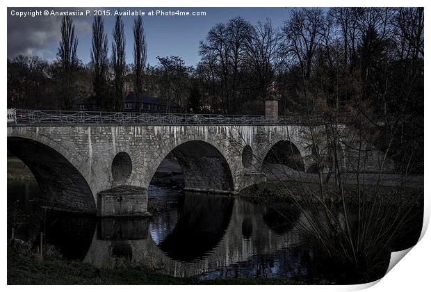 Bridge in Weimar Print by Anastasiia P.