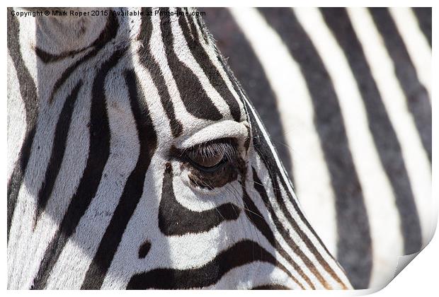 Zebra eye Print by Mark Roper