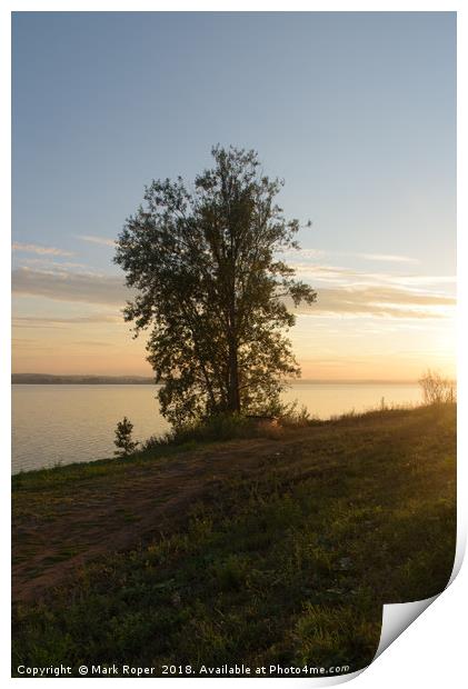 Tree beside lake in Votkinsk at sunset Print by Mark Roper