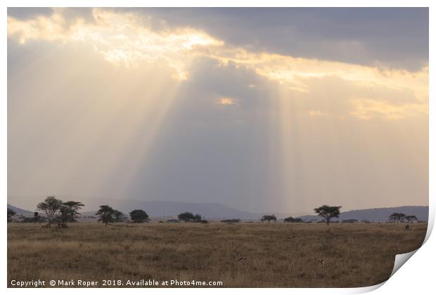 Rays of sunlight shining on the Serengeti savanna Print by Mark Roper