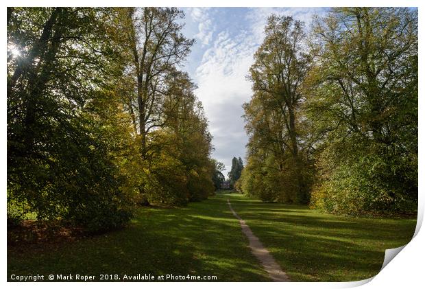 Lime Avenue path with house at Nowton Park in autu Print by Mark Roper