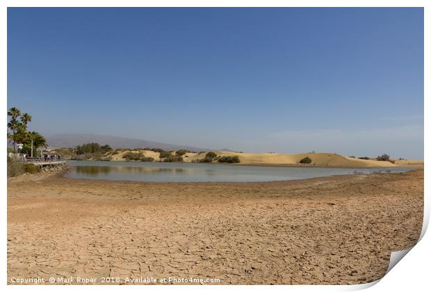 La Charca nature reserve lake next to the sand dun Print by Mark Roper