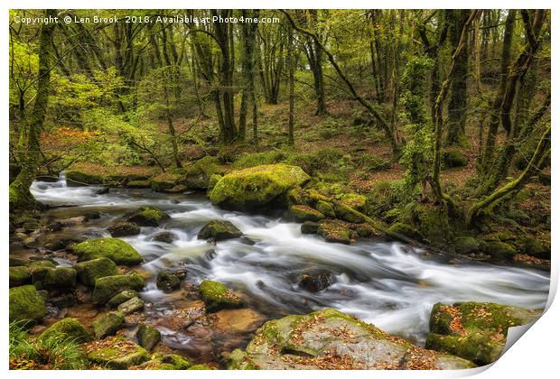 The Golitha Falls, Cornwall Print by Len Brook