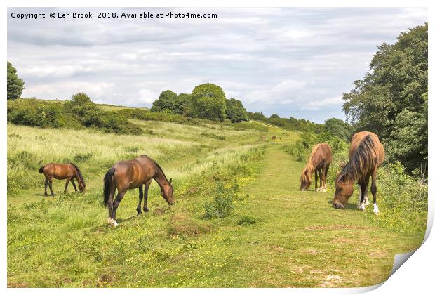 Cissbury Ring Ponies Print by Len Brook