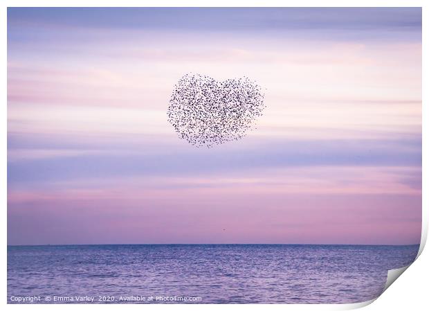 Starling Heart Print by Emma Varley