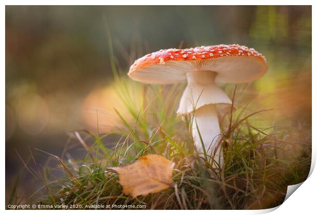 Fly agaric Print by Emma Varley