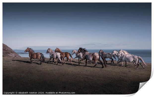 Wild Carneddau ponies Print by Michael Newton