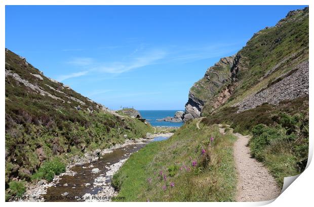 Heddon Valley, North Devon, UK Print by Rumyana Whitcher