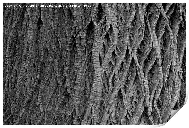  Tree Bark Print by Nick Mungham